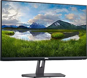 81bvBnR1liL.__AC_SY300_SX300_QL70_FMwebp_ Dell S2421NX 24-Inch Monitor Review AMD FreeSync FHD Display for Crisp Gaming